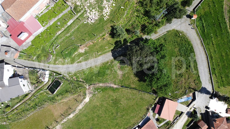 Terreno  com Urbano Vale de Cambra, Roge - 1304974 - 15