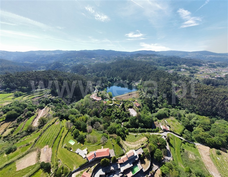 Terreno / Vale de Cambra, Roge