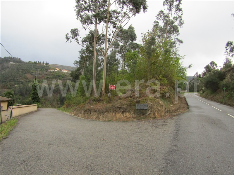Terreno  Vale de Cambra, Roge - 996876 - 2