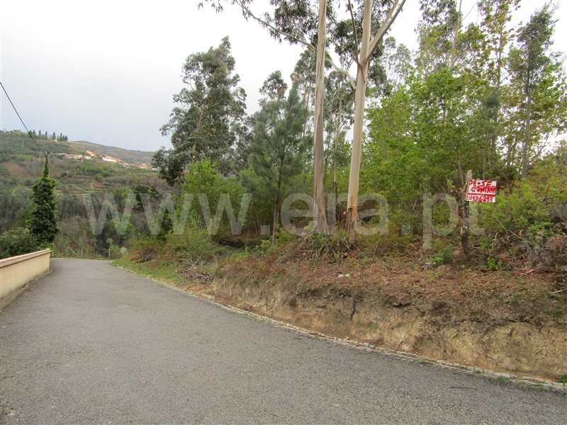 Terreno  Vale de Cambra, Roge - 996876 - 3