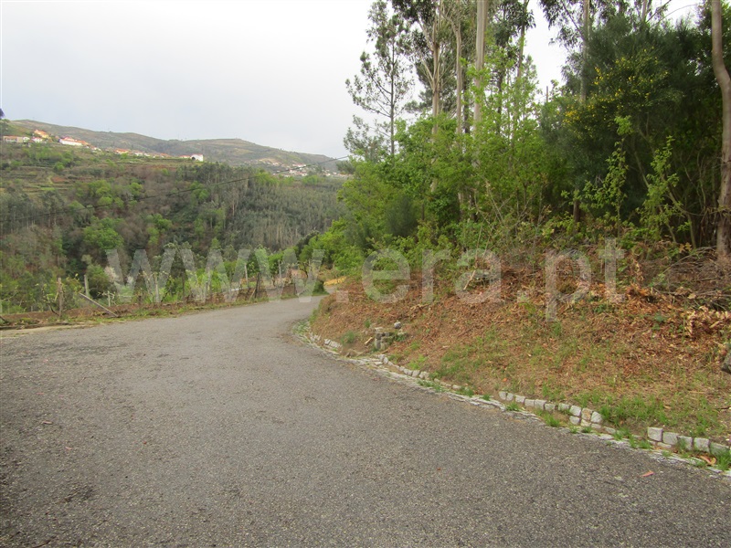 Terreno  Vale de Cambra, Roge - 996876 - 4