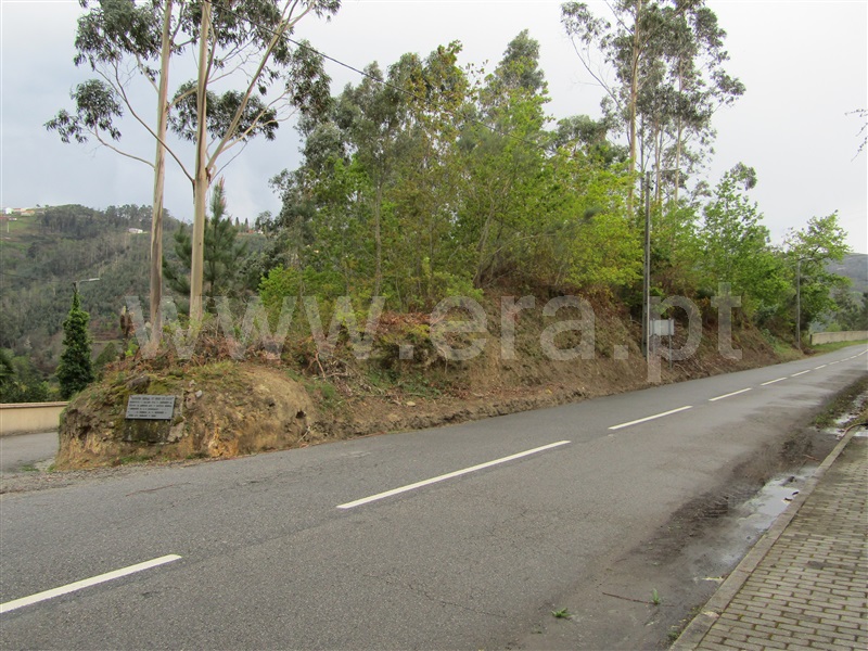 Terreno  Vale de Cambra, Roge - 996876 - 6