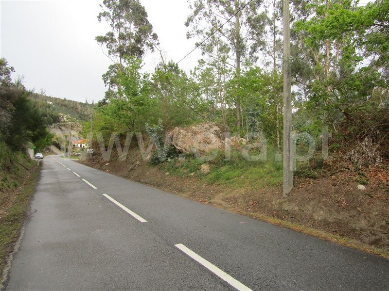 Terreno  Vale de Cambra, Roge - 996876 - 7