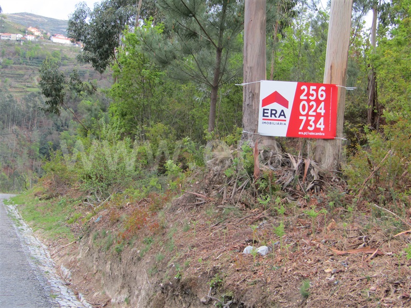 Terreno  Vale de Cambra, Roge - 996876 - 8