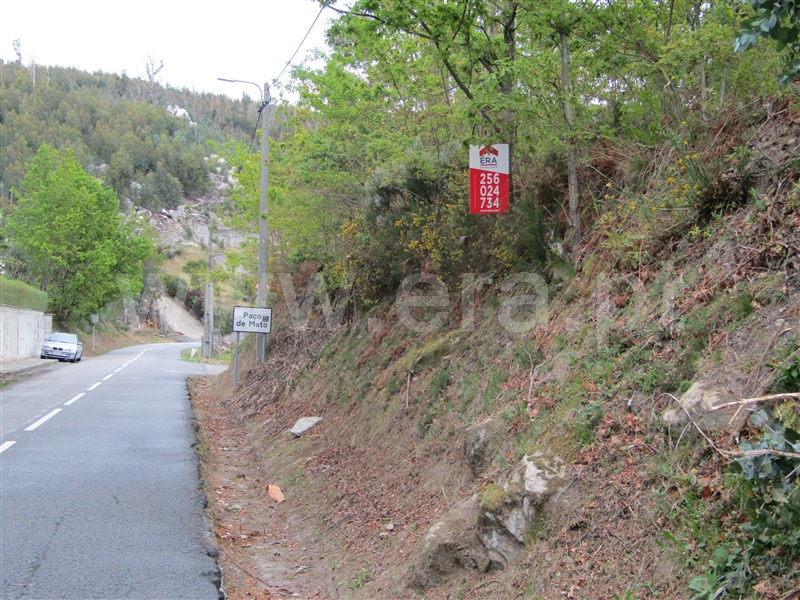 Terreno / Vale de Cambra, Roge