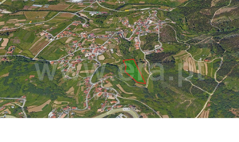 Terreno / Vale de Cambra, São Pedro de Castelões