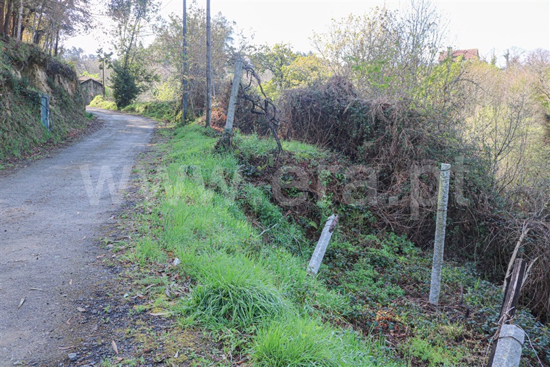 Terreno  Vale de Cambra, São Pedro de Castelões - 1316903 - 3