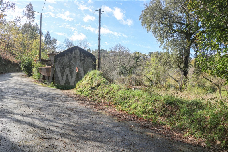 Terreno / Vale de Cambra, São Pedro de Castelões