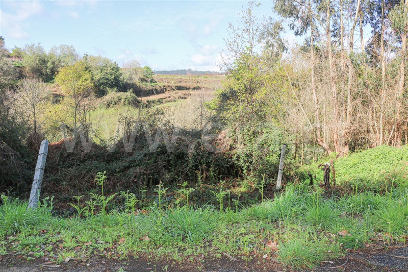 Terreno  Vale de Cambra, São Pedro de Castelões - 1316903 - 5
