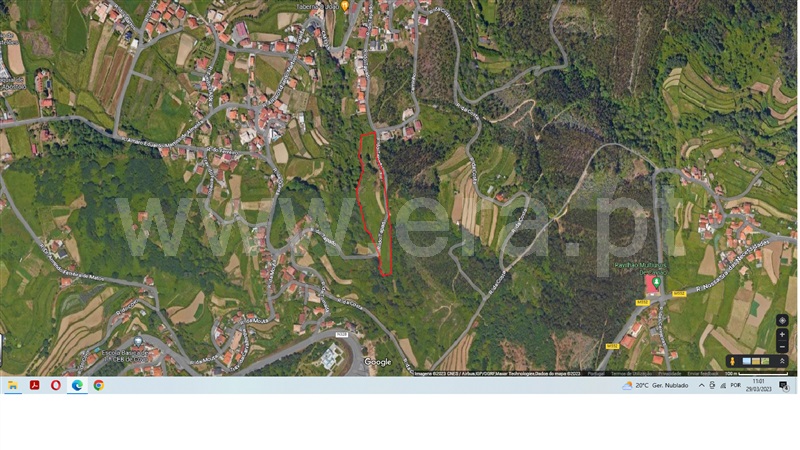 Terreno  Vale de Cambra, São Pedro de Castelões - 1316903 - 5