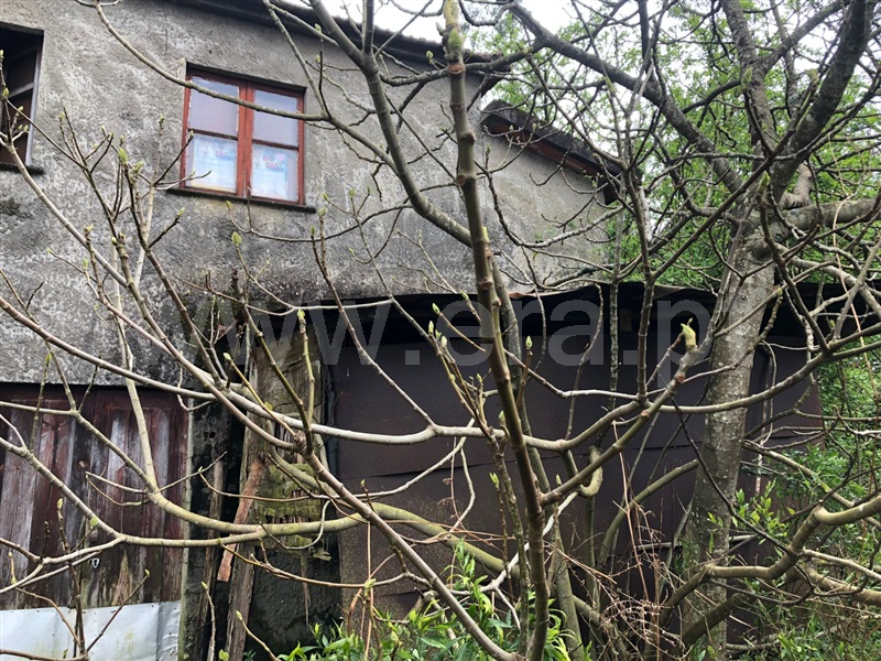 Terreno  Vale de Cambra, São Pedro de Castelões - 1316903 - 6