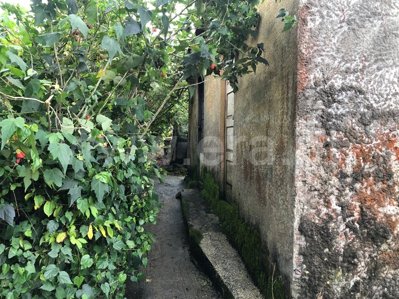 Terreno  Vale de Cambra, São Pedro de Castelões - 1316903 - 10