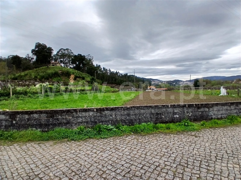Terreno / Vale de Cambra, São Pedro de Castelões