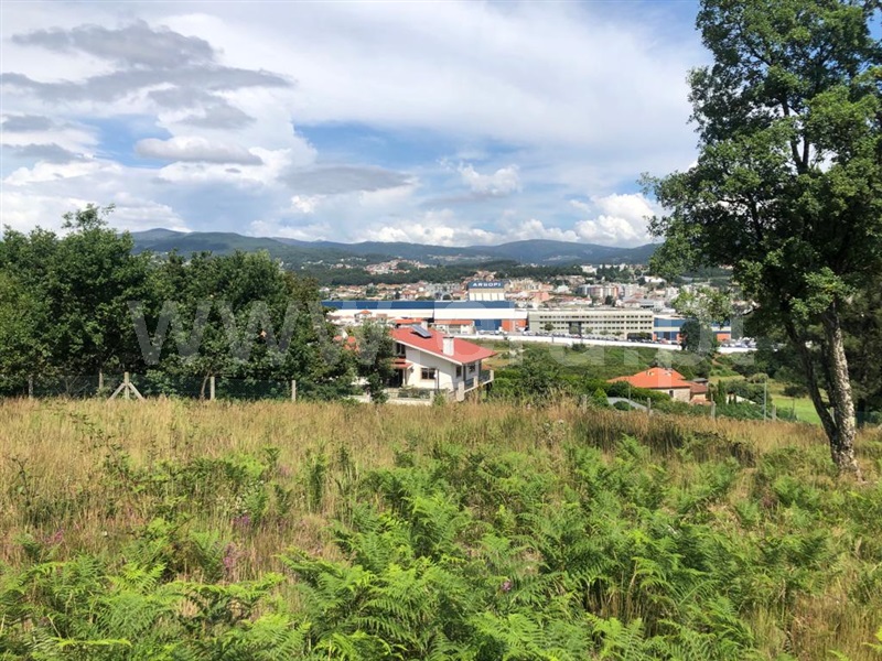 Terreno  Vale de Cambra, Vila Chã, Codal e Vila Cova de Perrinho - 1334783 - 4