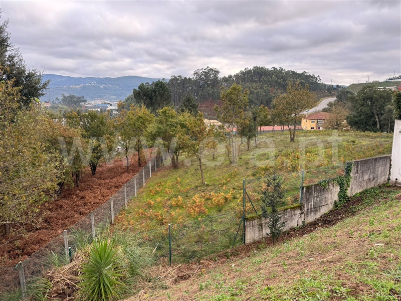 Terreno  Vale de Cambra, Vila Chã, Codal e Vila Cova de Perrinho - 1334783 - 11