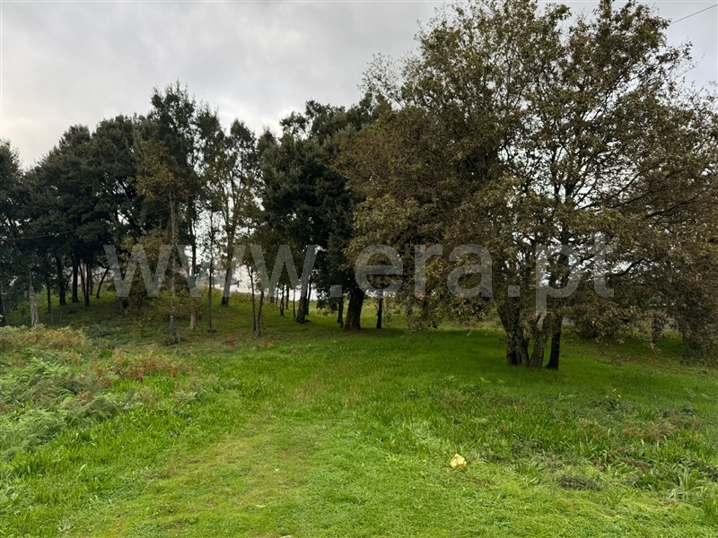 Terreno  Vale de Cambra, Vila Chã, Codal e Vila Cova de Perrinho - 1334783 - 14