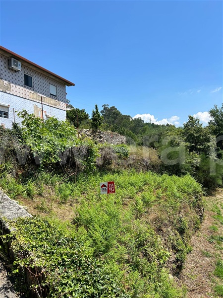 Terreno  Vale de Cambra, Vila Chã, Codal e Vila Cova de Perrinho - 1354789 - 2