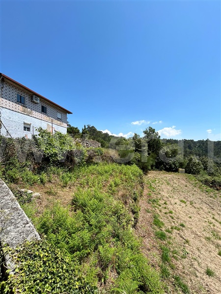 Terreno  Vale de Cambra, Vila Chã, Codal e Vila Cova de Perrinho - 1354789 - 3