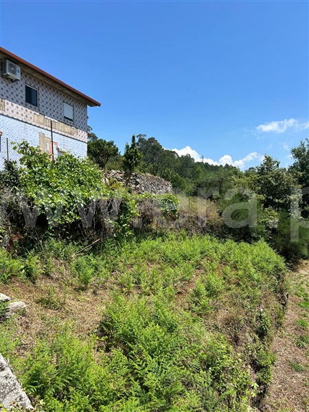 Terreno  Vale de Cambra, Vila Chã, Codal e Vila Cova de Perrinho - 1354789 - 4