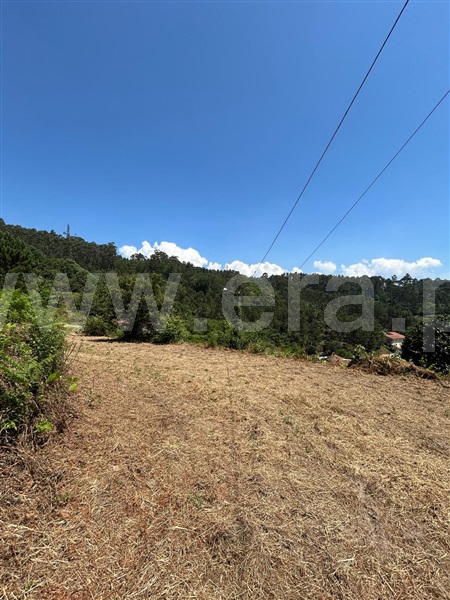 Terreno  Vale de Cambra, Vila Chã, Codal e Vila Cova de Perrinho - 1354791 - 2