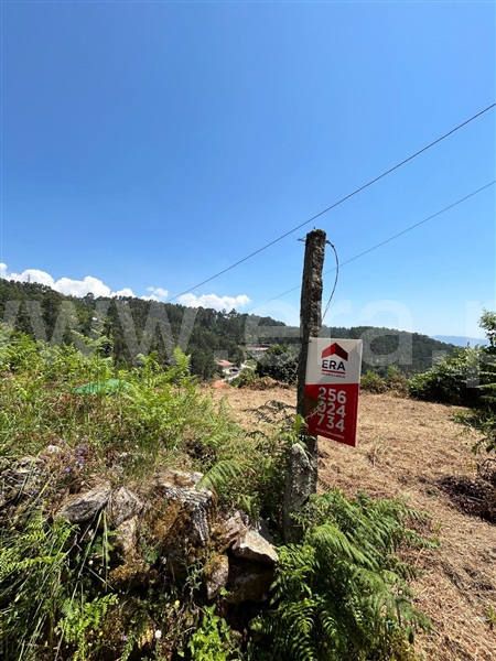 Terreno  Vale de Cambra, Vila Chã, Codal e Vila Cova de Perrinho - 1354791 - 4