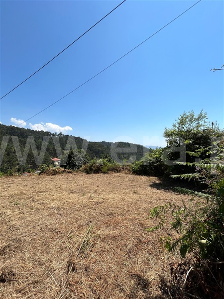 Terreno  Vale de Cambra, Vila Chã, Codal e Vila Cova de Perrinho - 1354791 - 5