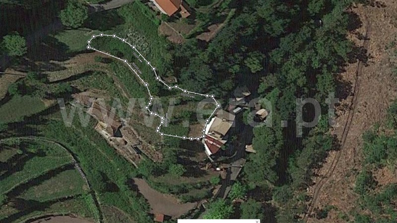 Terreno / Vale de Cambra, Vila Chã, Codal e Vila Cova de Perrinho