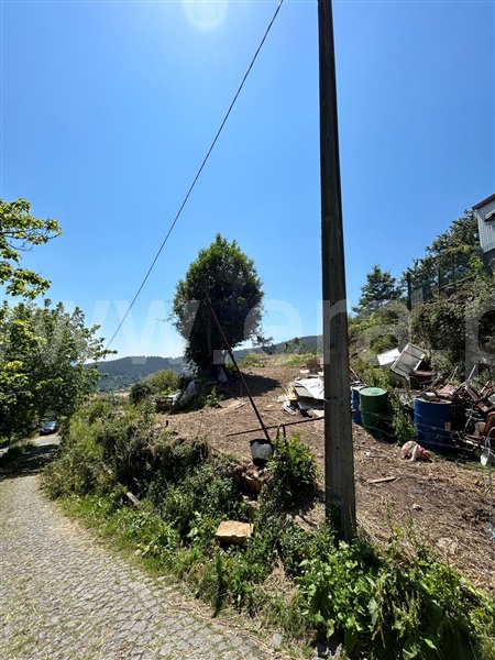 Terreno  Vale de Cambra, Vila Chã, Codal e Vila Cova de Perrinho - 1354798 - 3