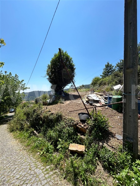 Terreno  Vale de Cambra, Vila Chã, Codal e Vila Cova de Perrinho - 1354798 - 4