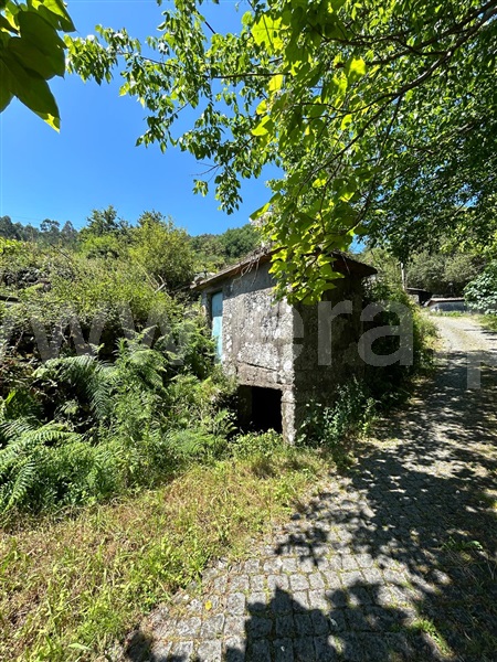 Terreno  Vale de Cambra, Vila Chã, Codal e Vila Cova de Perrinho - 1354798 - 6