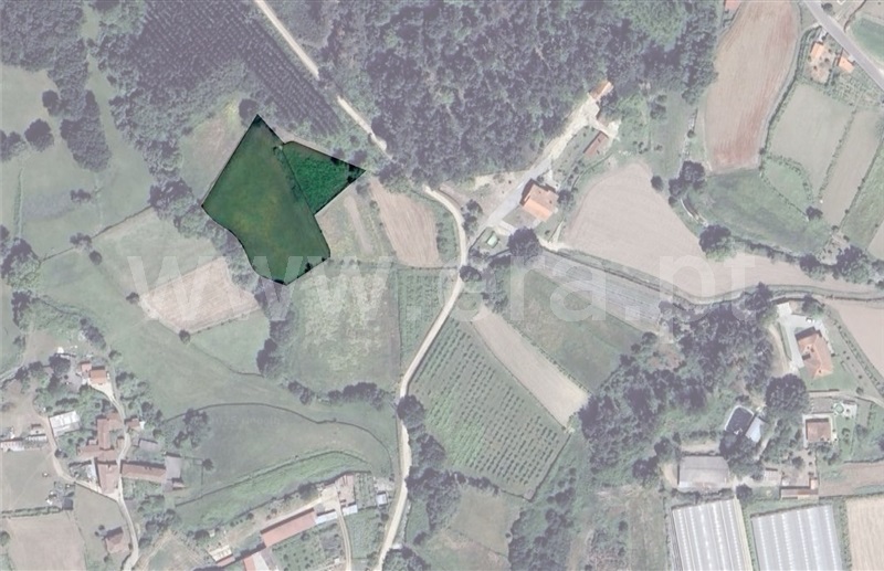 Terreno / Valença, Cerdal