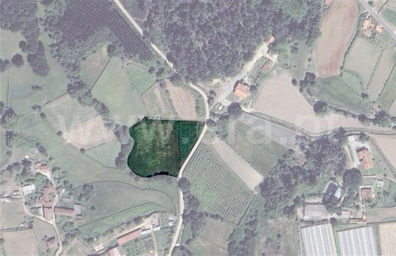 Terreno / Valença, Cerdal