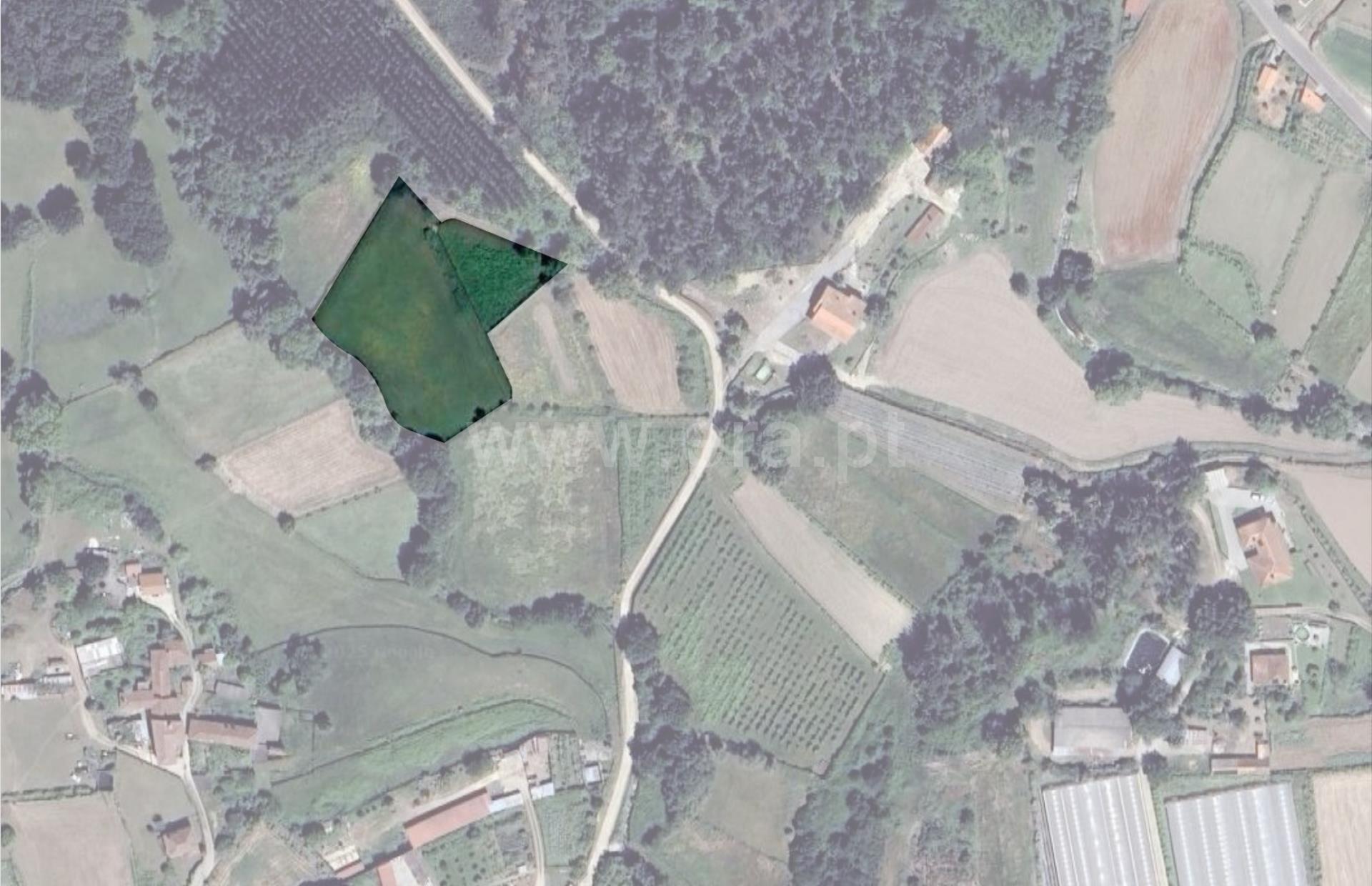 Land for sale in Valença, Portugal — €80,000