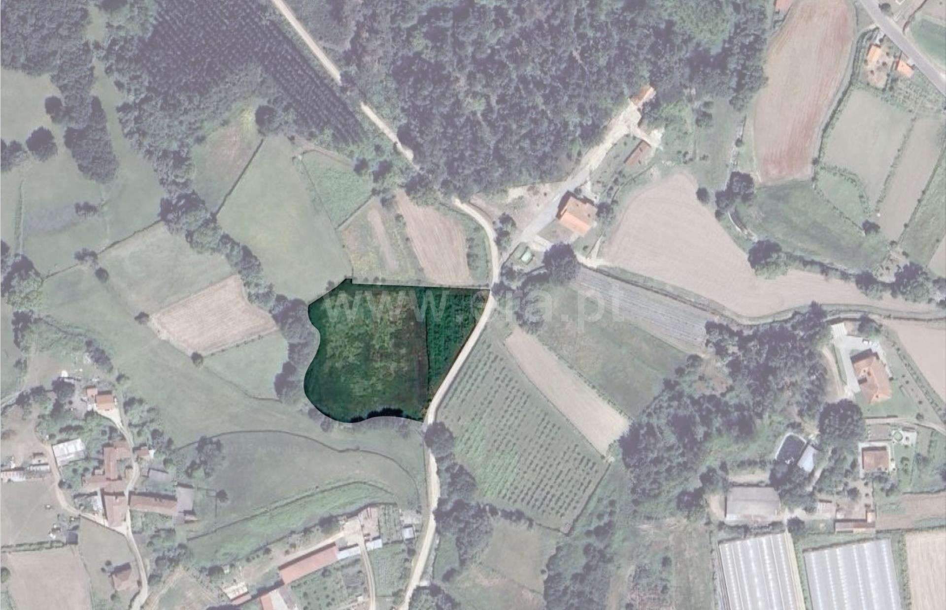 Land for sale in Valença, Portugal — €90,000