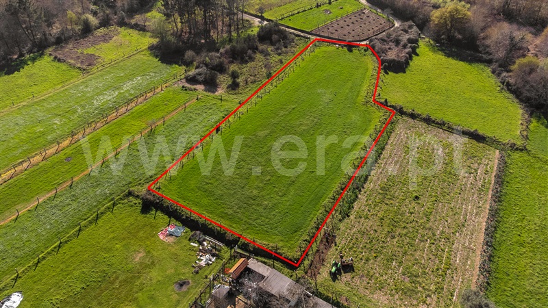 Terreno  com Agrícola Valença, São Julião e Silva - 1465979 - 7