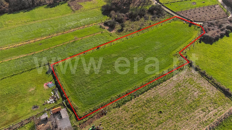 Terreno  com Agrícola Valença, São Julião e Silva - 1465979 - 8