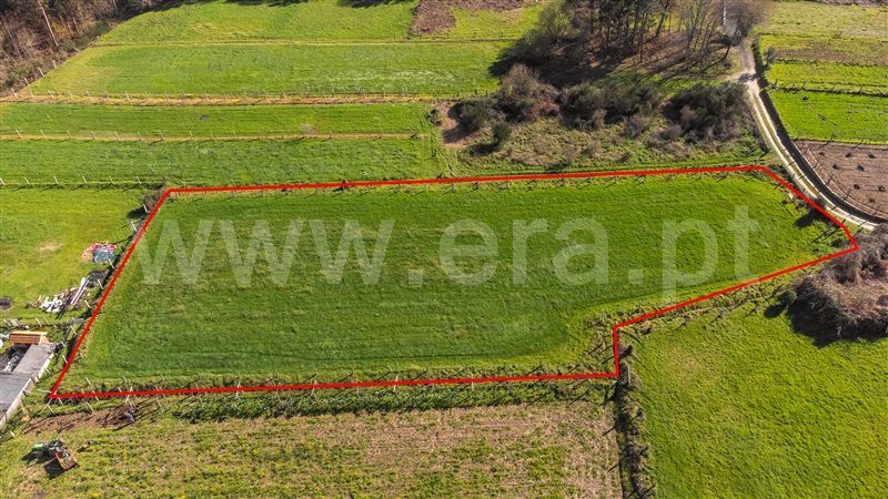 Terreno  com Agrícola Valença, São Julião e Silva - 1465979 - 9