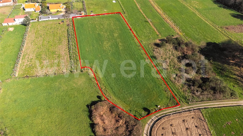 Terreno  com Agrícola Valença, São Julião e Silva - 1465979 - 10