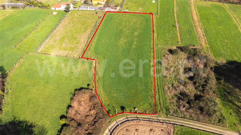 Terreno  com Agrícola Valença, São Julião e Silva - 1465979 - 11