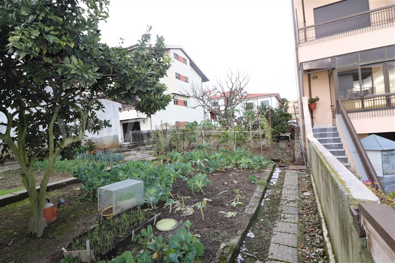 Terreno  Valongo, Alfena - 1146762 - 2