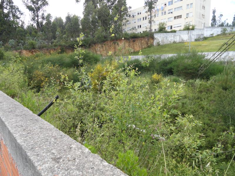 Terreno / Valongo, Alfena