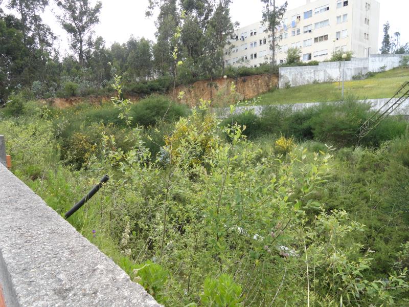 Terreno  Valongo, Alfena - 863237 - 3