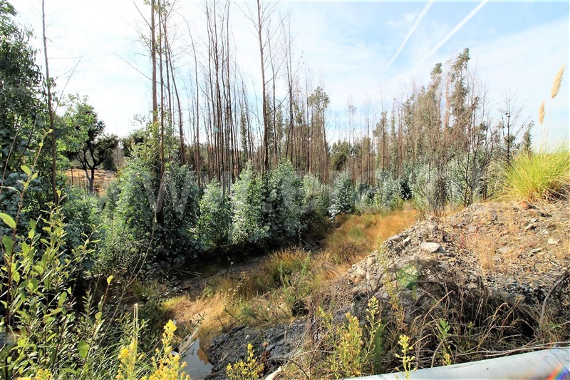 Terreno  Valongo, Campo e Sobrado - 1322792 - 1