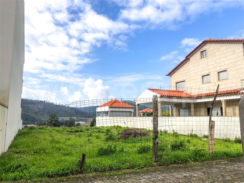 Terreno  com Aprovado Valongo, Campo e Sobrado - 1364418 - 5