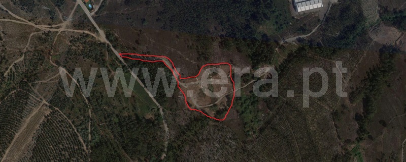 Terreno / Valongo, Campo e Sobrado