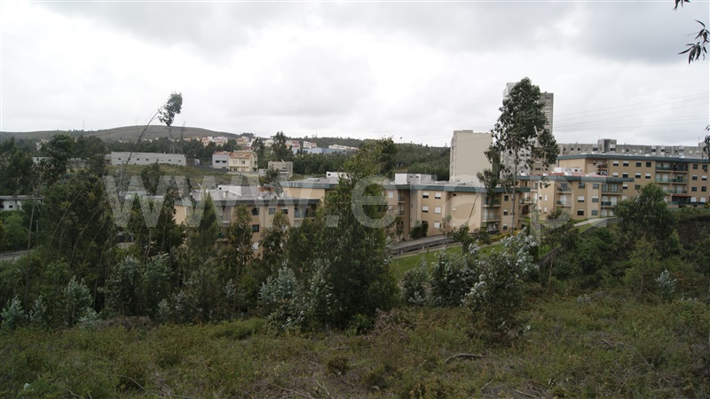 Terreno  Valongo - 1009901 - 2