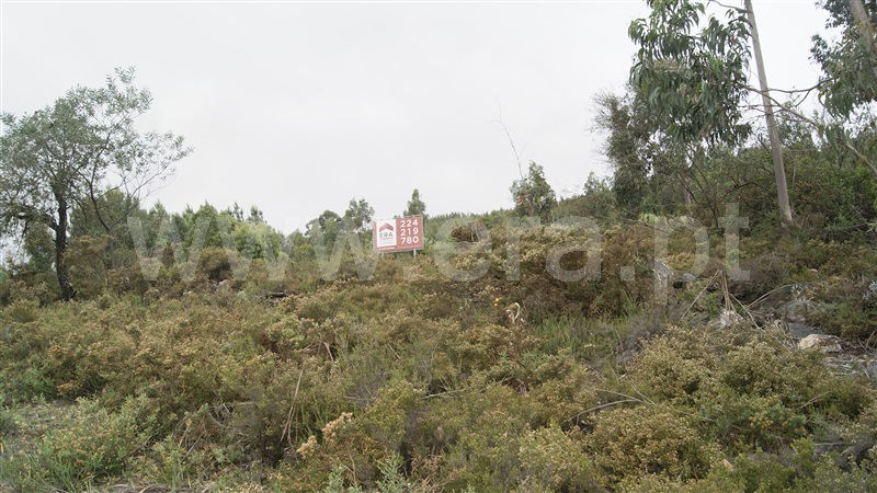 Terreno  Valongo - 1009901 - 3