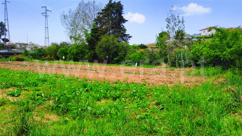 Terreno  Valongo, Valongo - 1328248 - 4