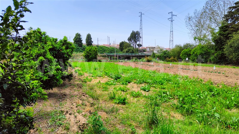 Terreno  Valongo, Valongo - 1328250 - 5