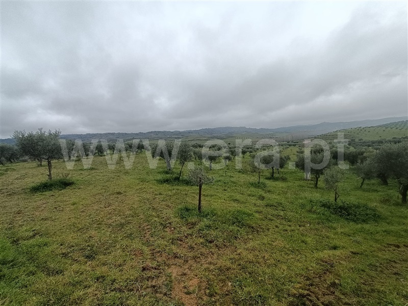 Terreno  Valpaços, Rio Torto - 1374537 - 2